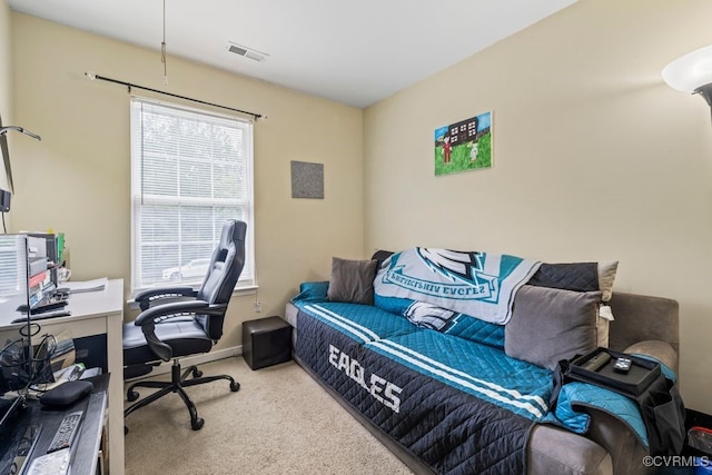 225 Scotch Pine Dr, Sandston, VA 23150 - home office featuring carpet floors and baseboards