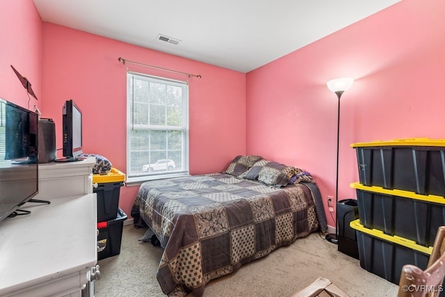 225 Scotch Pine Dr, Sandston, VA 23150 - view of carpeted bedroom