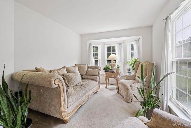 225 Scotch Pine Dr, Sandston, VA 23150 - view of carpeted living room