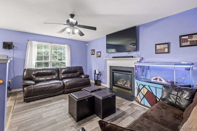 225 Scotch Pine Dr, Sandston, VA 23150 - living room featuring a ceiling fan, wood finished floors, and a glass covered fireplace