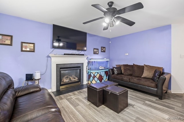 225 Scotch Pine Dr, Sandston, VA 23150 - living room featuring wood finished floors, ceiling fan, and a glass covered fireplace