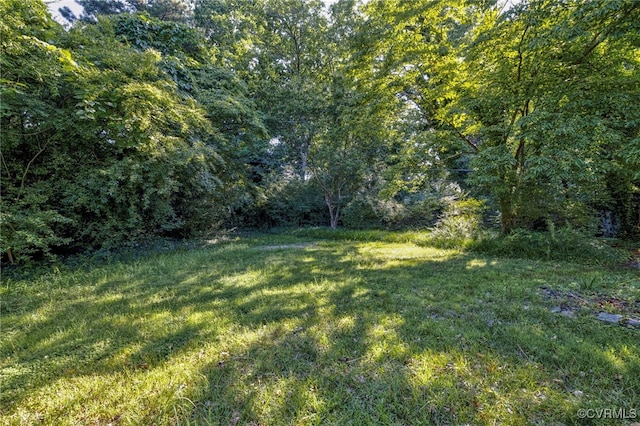12 Meadow Dr, Newport News, VA 23606 - photo 21