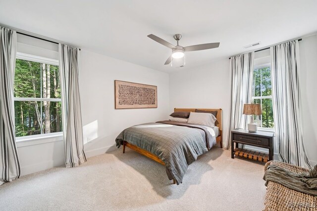 9156 Terroir Ln, New Kent, VA 23124 - photo 25