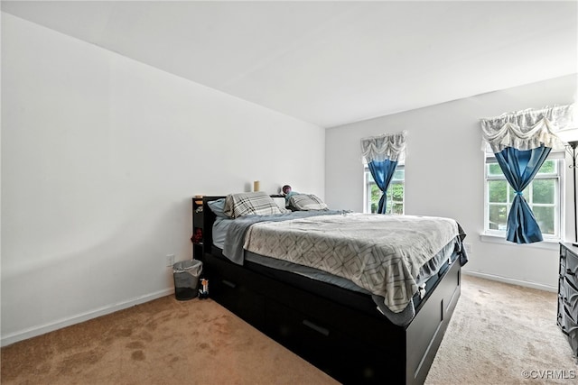 1593 Constitution Dr, Henrico, VA 23238 - bedroom with light colored carpet and multiple windows