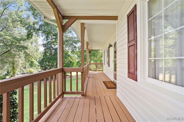 7840 Conifer Rd, North Chesterfield, VA 23237 - photo 4