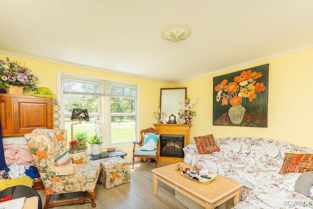 2165 Windmill Point Rd, White Stone, VA 22578 - living area featuring wood finished floors, crown molding, and a glass covered fireplace