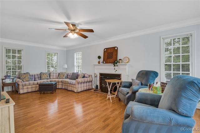 1406 Walton Bluff Ter, Midlothian, VA 23114 - living area with a ceiling fan, light wood-type flooring, crown molding, and a fireplace with flush hearth