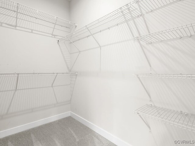 341 Crofton Village Ter Unit Kd, Chesterfield, VA 23114 - walk in closet featuring carpet floors