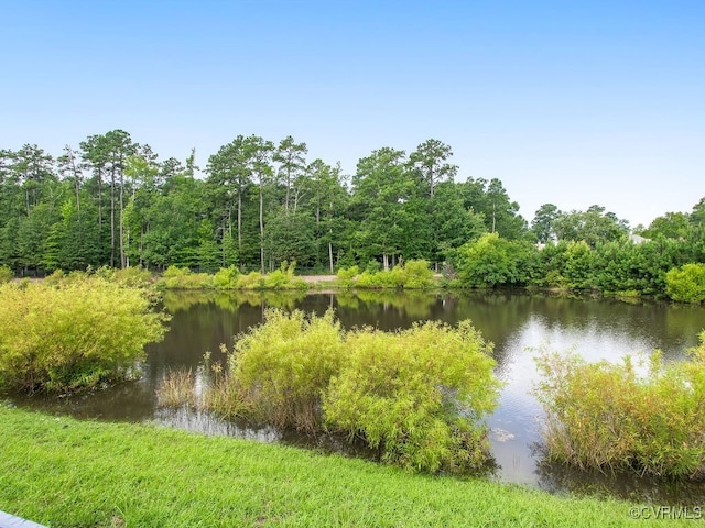 341 Crofton Village Ter Unit Kd, Chesterfield, VA 23114 - water view