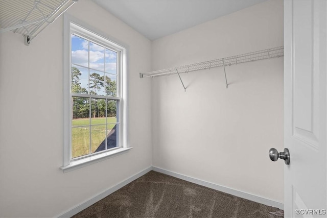 11325 Webb Rd, Disputanta, VA 23842 - walk in closet with dark colored carpet