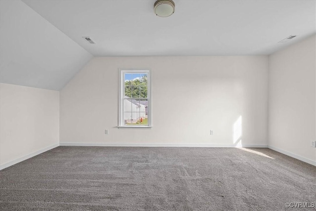 11325 Webb Rd, Disputanta, VA 23842 - additional living space with lofted ceiling and carpet floors