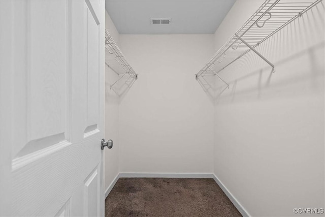 11325 Webb Rd, Disputanta, VA 23842 - spacious closet featuring carpet