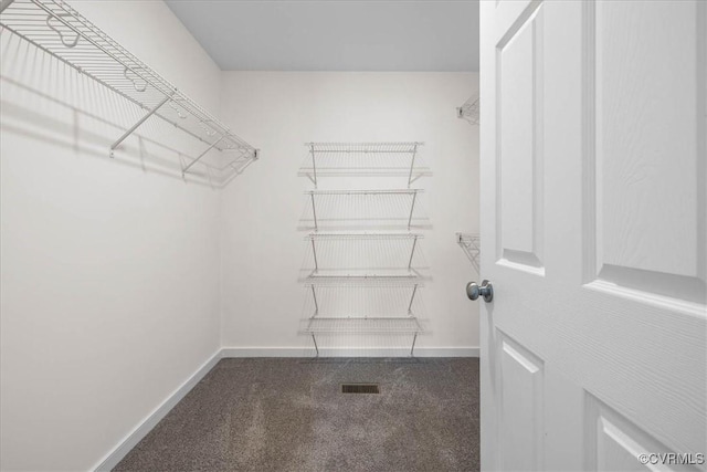 11325 Webb Rd, Disputanta, VA 23842 - spacious closet with carpet floors