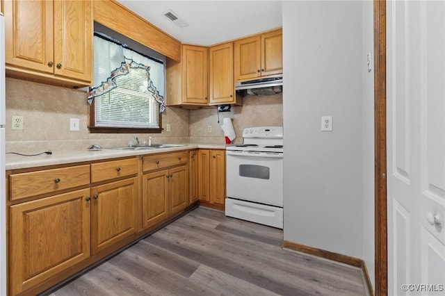 11900 James River Dr, North Prince George, VA 23860 - kitchen featuring electric stove, ventilation hood, wood finished floors, light countertops, and backsplash