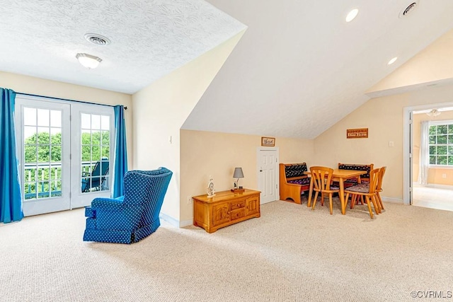 1382 Glebe Landing Rd, Center Cross, VA 22437 - sitting room featuring carpet floors and lofted ceiling