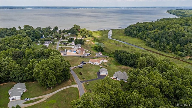 1382 Glebe Landing Rd, Center Cross, VA 22437 - view of property location with a large body of water and a forest