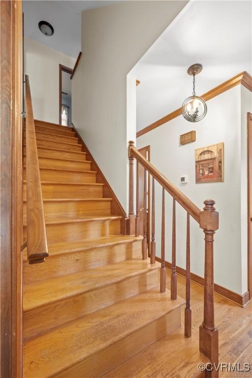 11906 Exbury Ter, Midlothian, VA 23114 - stairway featuring wood finished floors and ornamental molding