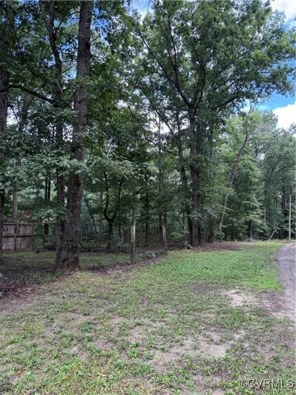 3601 Haupts Ln, Charles City, VA 23231 - view of yard