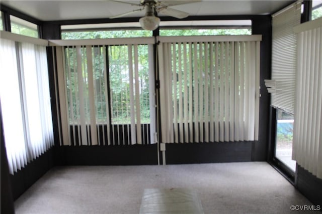 7401 Velvet Antler Dr, Midlothian, VA 23112 - unfurnished sunroom featuring carpet floors