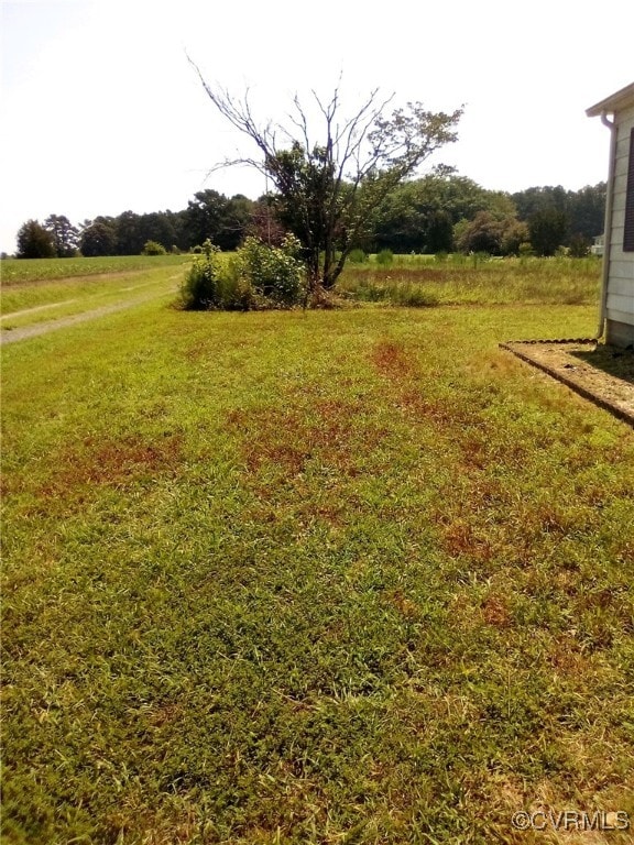 10129 Squirrel Level Rd, Dinwiddie, VA 23803 - photo 10