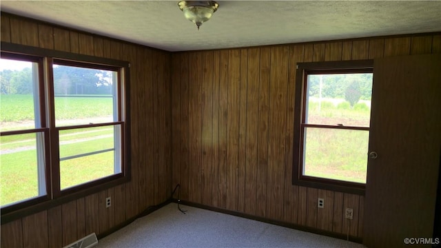10129 Squirrel Level Rd, Dinwiddie, VA 23803 - photo 23