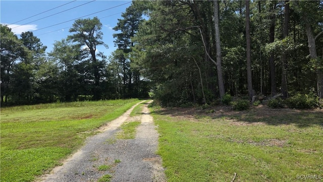 10129 Squirrel Level Rd, Dinwiddie, VA 23803 - photo 16