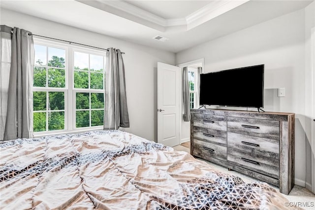 3119 Perdue Springs Dr, Chester, VA 23831 - bedroom with multiple windows, a raised ceiling, and crown molding
