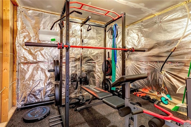 3119 Perdue Springs Dr, Chester, VA 23831 - view of exercise area