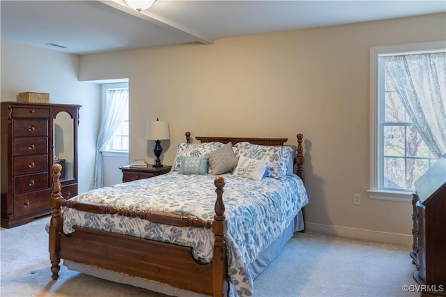 13494 Lakeview Farms Pl, Ashland, VA 23005 - photo 36