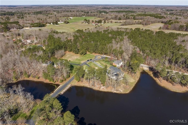 13494 Lakeview Farms Pl, Ashland, VA 23005 - photo 46