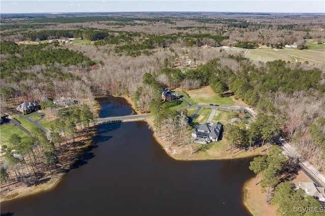 13494 Lakeview Farms Pl, Ashland, VA 23005 - photo 48