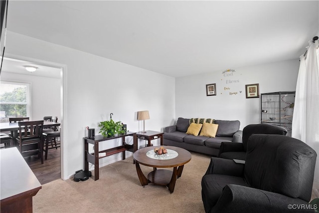 24716 Woodstream Ln, North Dinwiddie, VA 23803 - living room with light carpet