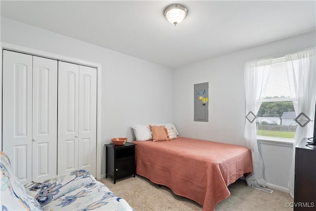 24716 Woodstream Ln, North Dinwiddie, VA 23803 - bedroom featuring electric panel, a closet, and light carpet