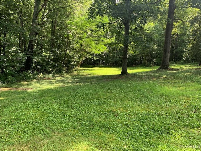 372 Dogwood Acres Rd, Louisa, VA 23024 - photo 6
