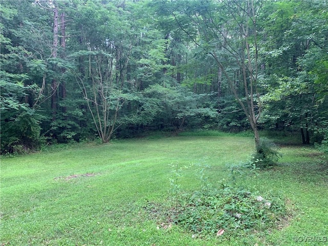 372 Dogwood Acres Rd, Louisa, VA 23024 - photo 5