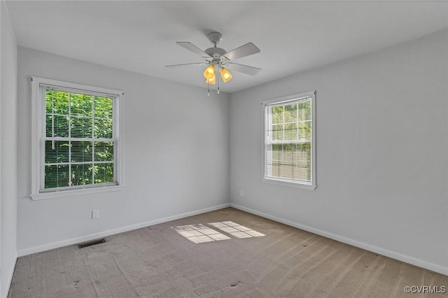 1845 Drinking Swamp Rd, Farnham, VA 22460 - photo 19