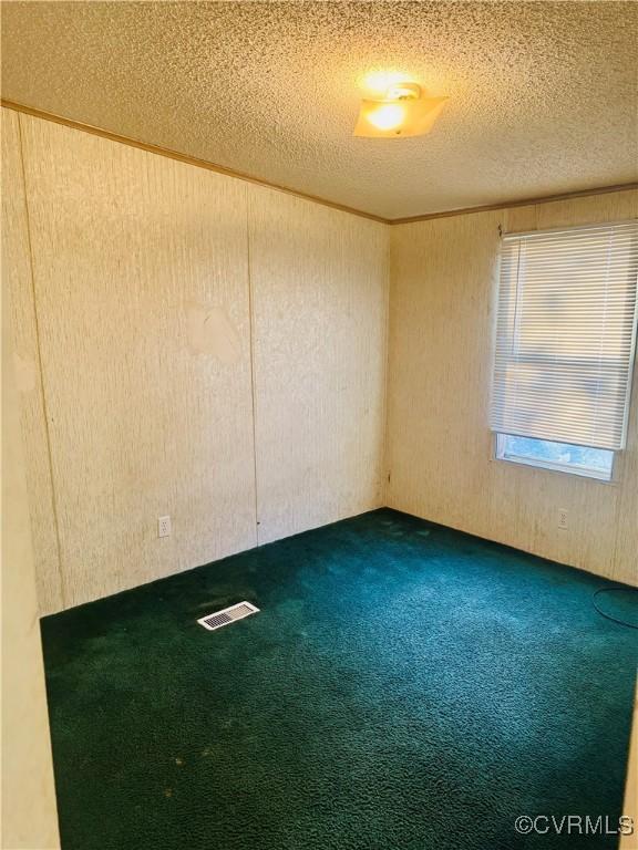 271 Walnut Hill Rd, Crewe, VA 23930 - unfurnished room featuring carpet floors and a textured ceiling