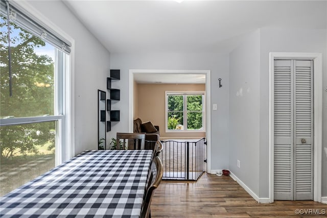 3309 Walnut Cove Ct, Chester, VA 23831 - bedroom with wood finished floors and a closet