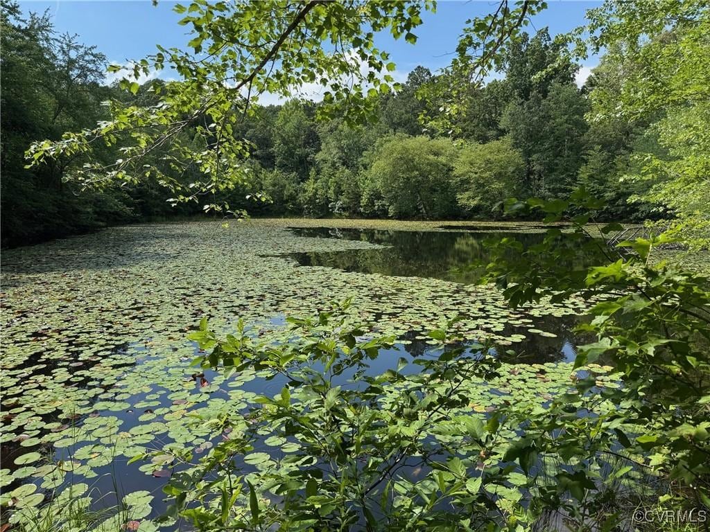 0 Anderson Hwy, Powhatan, VA 23139 - photo 1