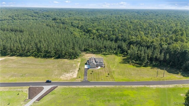 8383 Mount Eagle Rd, Hanover, VA 23005 - photo 7