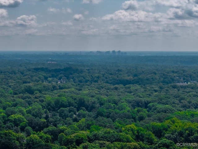 2340 Scarsborough Dr, North Chesterfield, VA 23235 - aerial view of a forest