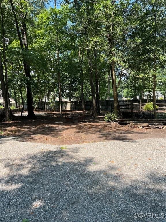 10904 Robin Spring Ln, Glen Allen, VA 23060 - view of yard