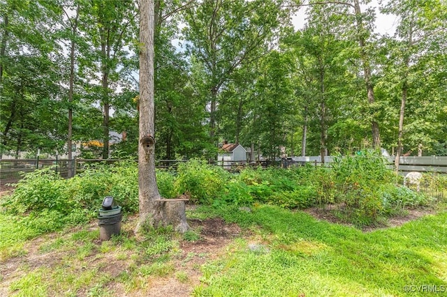10904 Robin Spring Ln, Glen Allen, VA 23060 - photo 44