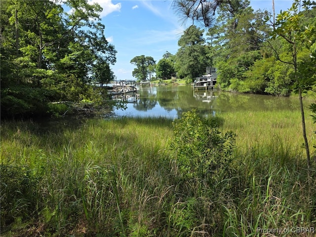 134 Dove, Deltaville, VA 23043 - photo 8