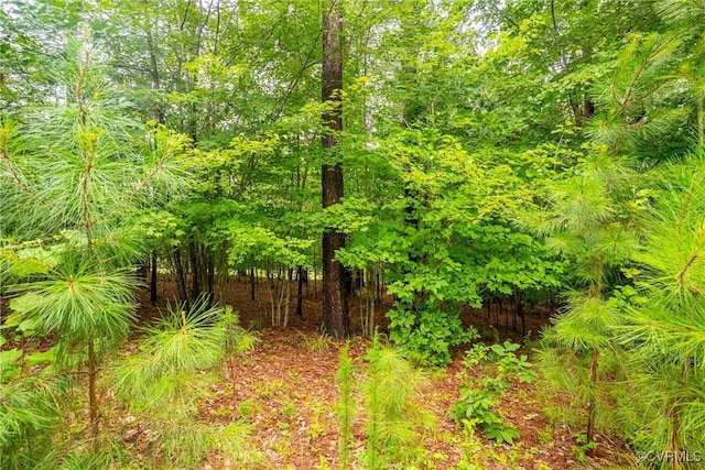 450 Sunrise Ln, Rice, VA 23966 - photo 50