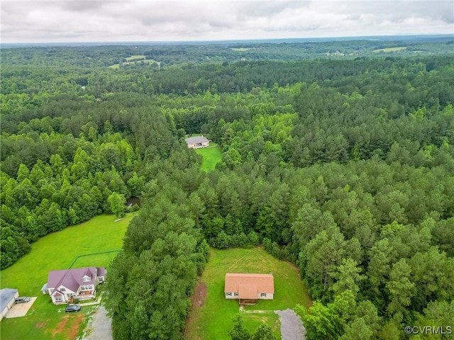 450 Sunrise Ln, Rice, VA 23966 - photo 44