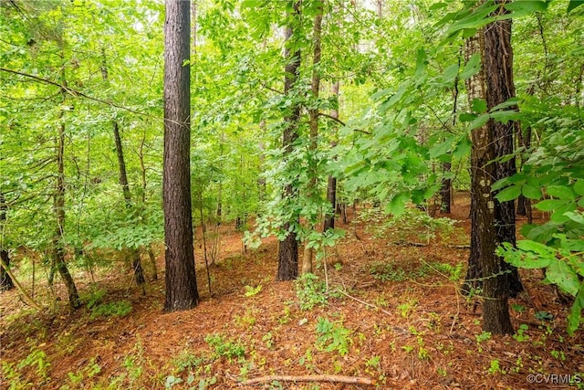 450 Sunrise Ln, Rice, VA 23966 - photo 49