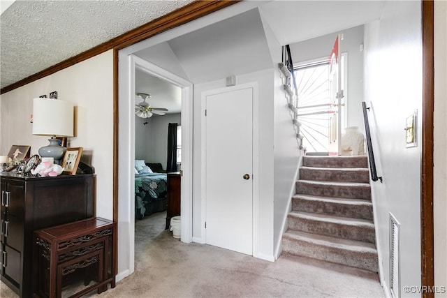 4601 Helena Cir, Petersburg, VA 23803 - stairs featuring carpet, ceiling fan, crown molding, and a textured ceiling