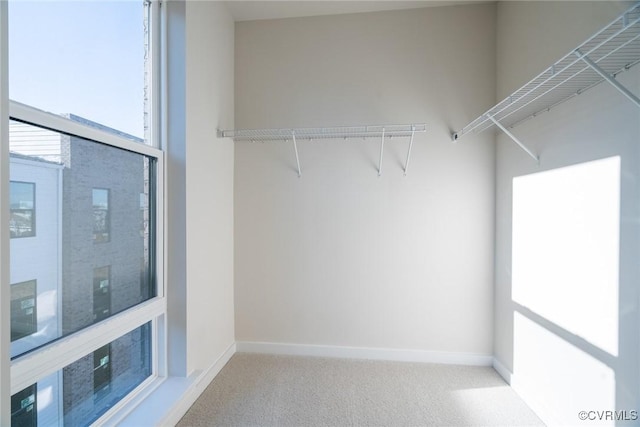 3446 Carlton St Unit 6-13A, Richmond, VA 23230 - walk in closet featuring carpet
