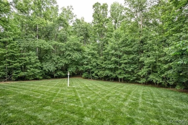1638 Fallen Timber Trl, Powhatan, VA 23139 - view of green lawn